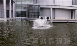 上海中鈔油墨景觀水池水處理