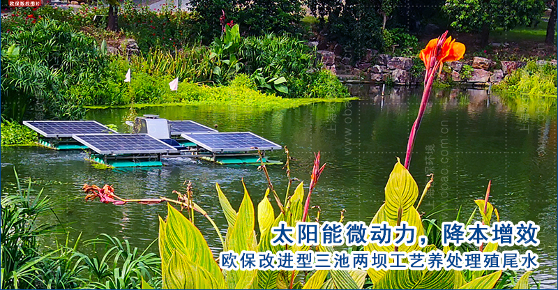 歐保三池兩壩工藝為養殖戶減負，降本增產