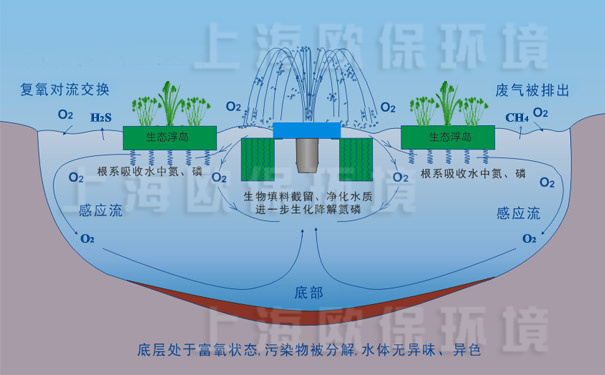 氧化塘增容凈化裝置